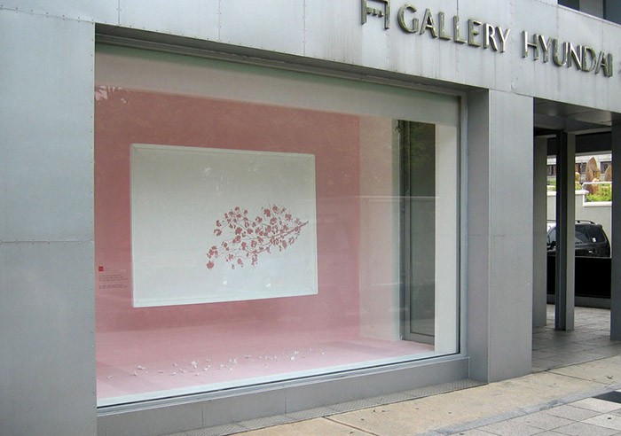 120 gsm thick acid-free paper, glue and pink wall paint. 152 x 208 x 5 cm, paper flowers 40 cm below. </br>
Paper installation at Gallery HYUNDAI’s  WINDOW GALLERY. A “papercut painting” with cherry blossom flowers lying underneath, cut and fallen from the canvas of paper.