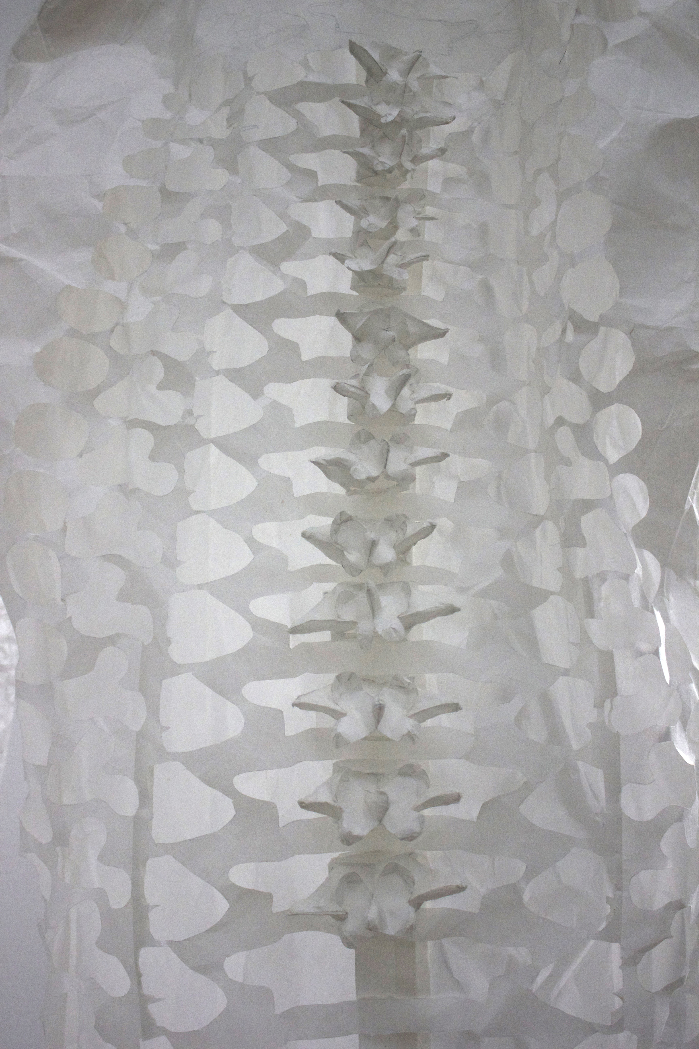 Shirt made from 34g zairei Japanese paper
70x36x70cm