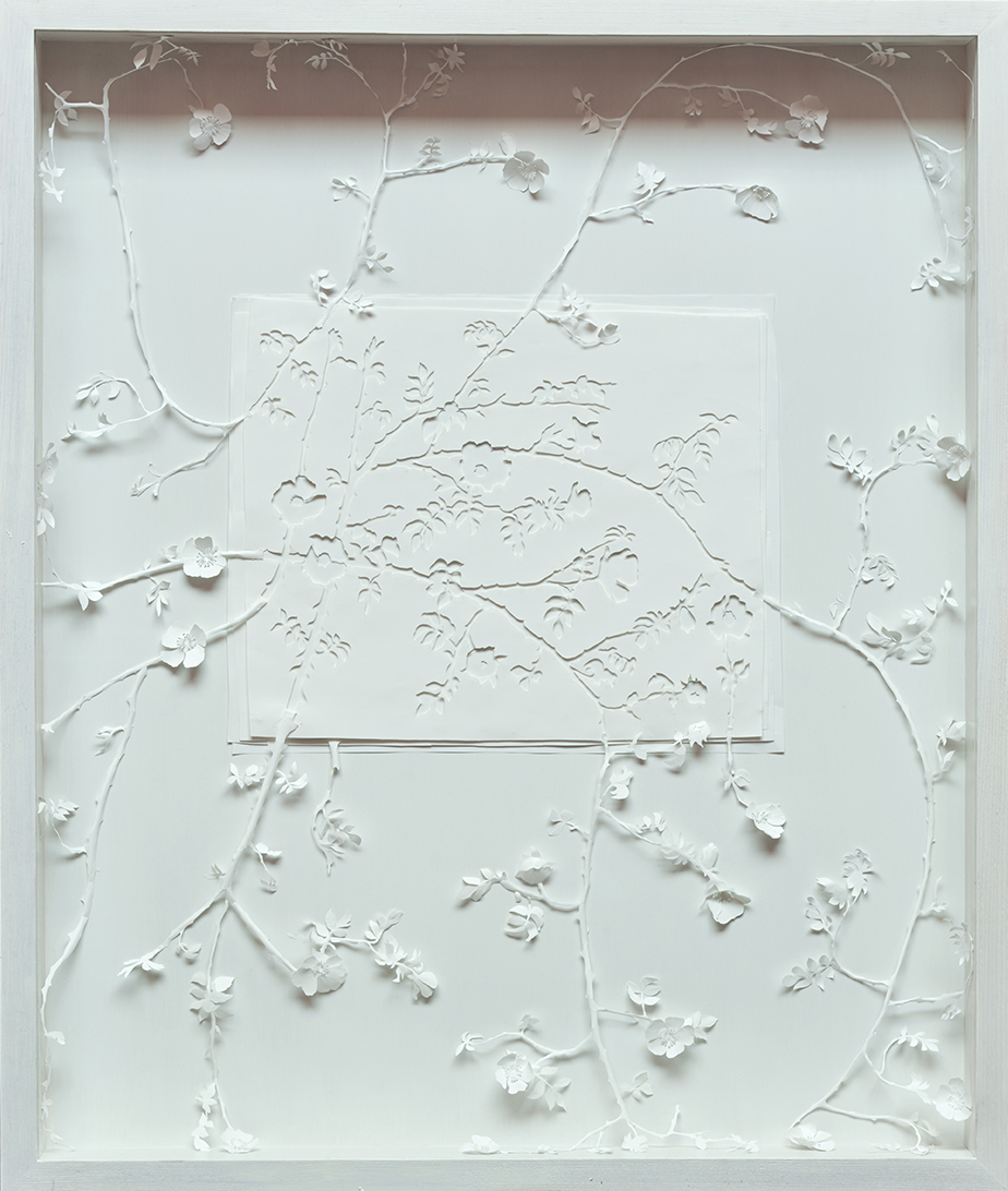 120 x 100 x 13 cm
120 g syrefrit papir, lim, i asketræsramme
Photo: Kirstine Mengel