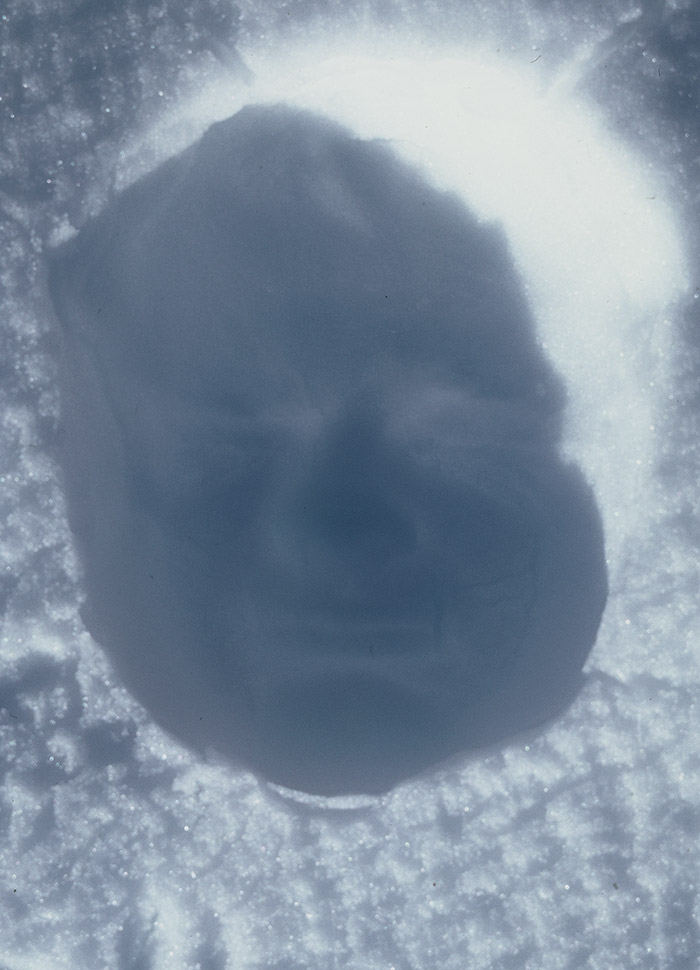 Light jet photo prints on PVC, 50 x 70 cm & 70 x 100 cm. </br>
Imprint of face in snow. </br>
