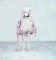 62_the-dying-swan2.jpg