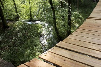 101_bridge-10.jpg